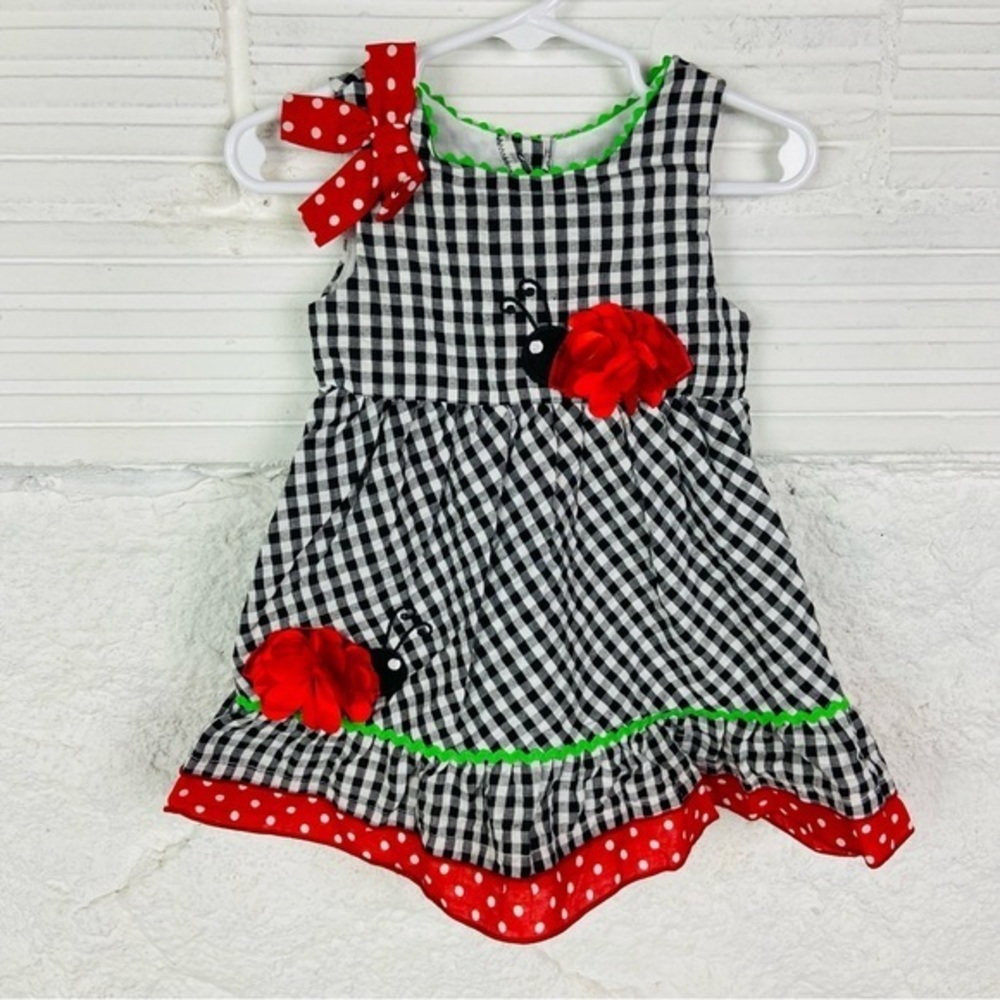 Youngland Black and White Gingham Dress with Red and Green polkadot ladybugs 18M